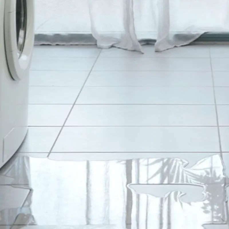 Appliance Leak Cleanup in Sweetwater, TX