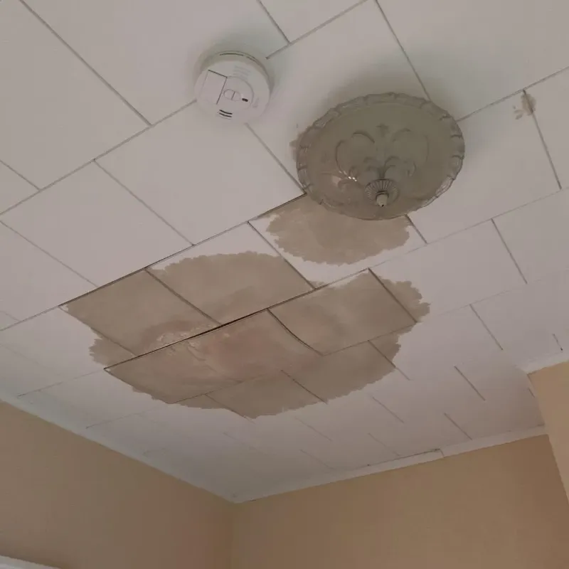 Ceiling Water Damage Repair in Sweetwater, TX