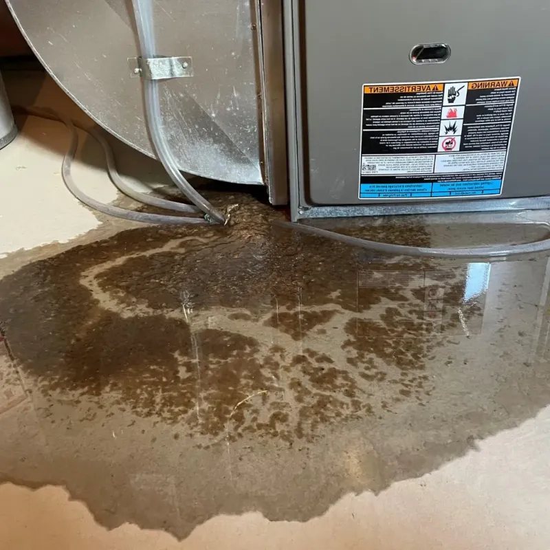Pipe Burst and Leak Restoration in Sweetwater, TX