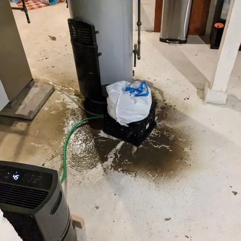 Sewage Backup Cleanup Service in Sweetwater, TX